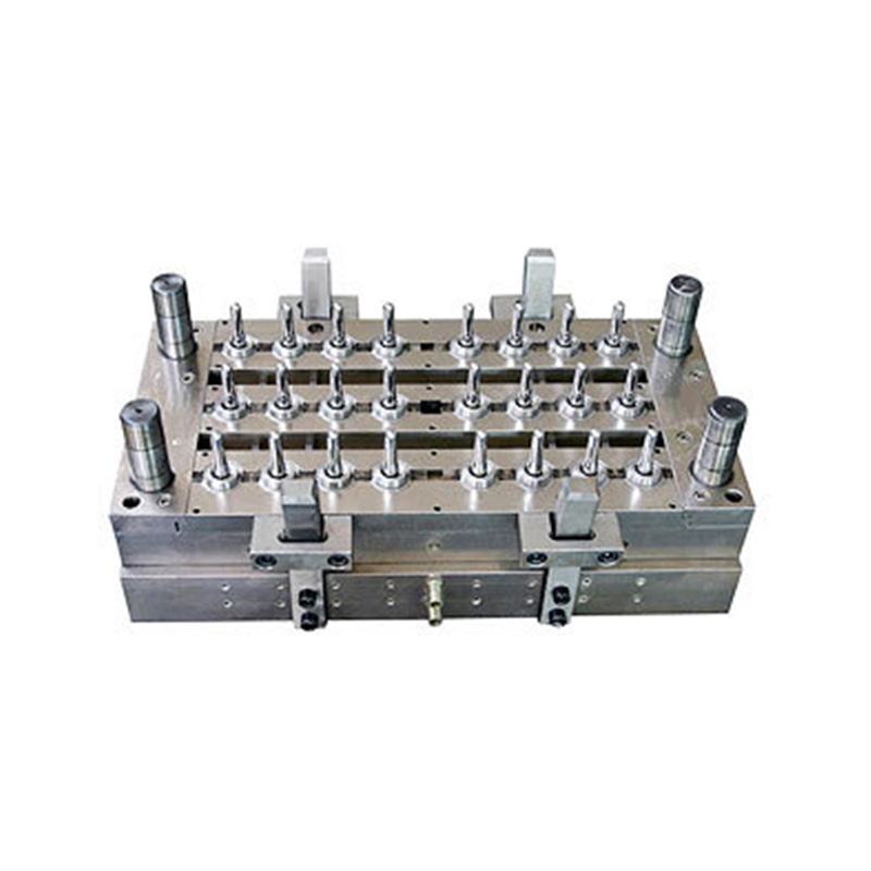 24-CAVITY PROFTION MOULL